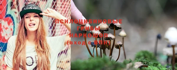 гашик Алексеевка