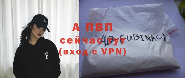 гашик Алексеевка