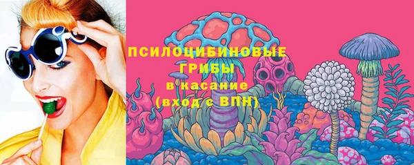 гашик Алексеевка